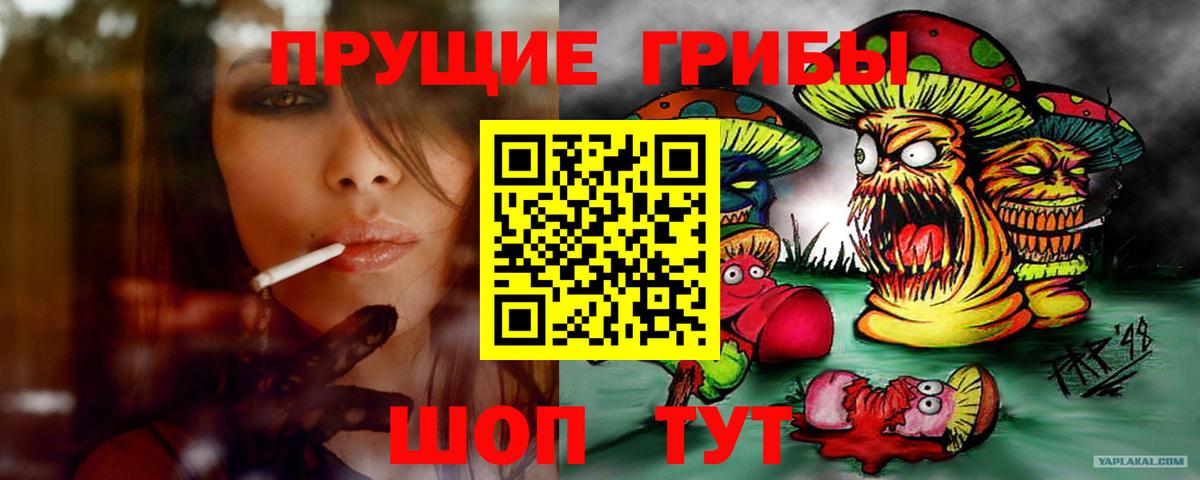 Галлюциногенные грибы Psilocybe Грязи